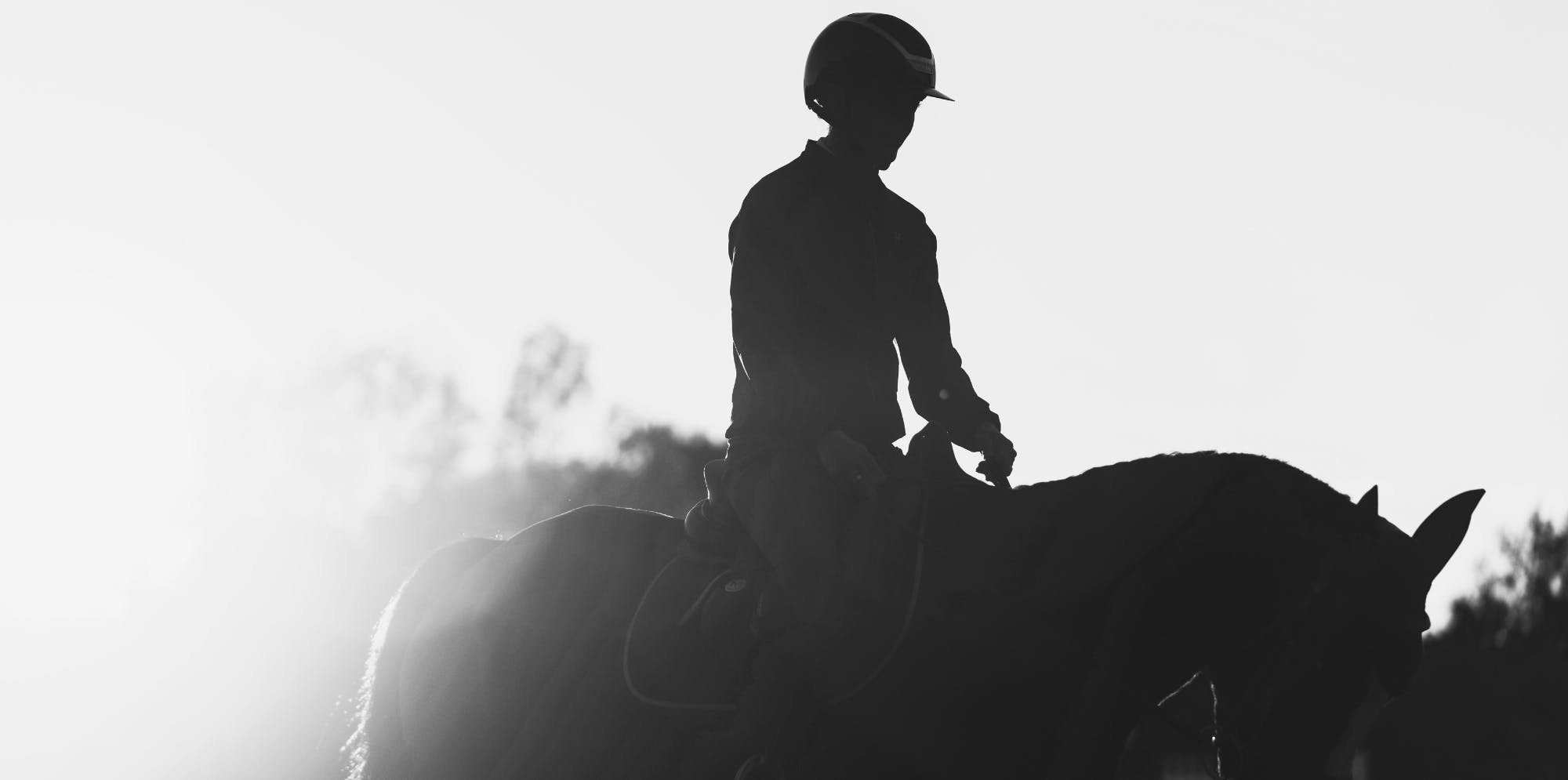 Equestrian Tips - Technical guide
